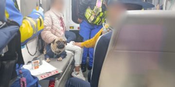SSC atiende a familia y mascotas intoxicadas por fuga de gas en Cuauhtémoc