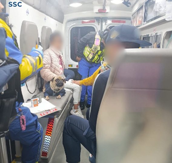 SSC atiende a familia y mascotas intoxicadas por fuga de gas en Cuauhtémoc