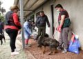 Diputados de Morena en CDMX comprueban buena atención a perros rescatados del Refugio Franciscano