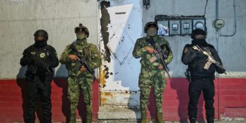 Cateos simultáneos en Cuauhtémoc y Venustiano Carranza dejan cinco detenidos, armas, droga y un mono araña asegurado