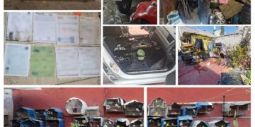 Cateo en GAM por homicidio en Edomex deja un detenido y el aseguramiento de autopartes y vehículos