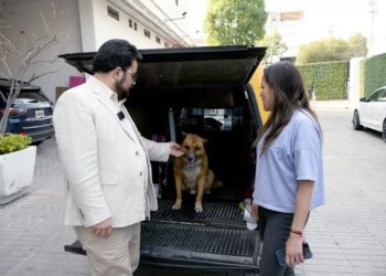 Municipio de Naucalpan rescata a “Lobito”, tras maltrato en San Lorenzo Totolinga