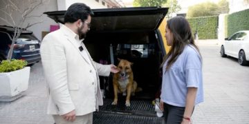 Municipio de Naucalpan rescata a “Lobito”, tras maltrato en San Lorenzo Totolinga