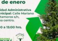 Ayuntamiento de Soledad habilita centro de acopio de árboles navideños naturales