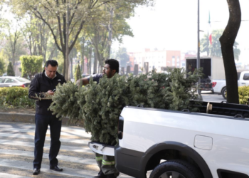 Concluye programa “Árbol por Árbol tu Ciudad Reverdece 2026”; alcalde Luis Mendoza reconoce la participación de los benitojuarenses