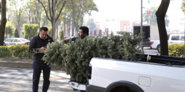 Concluye programa “Árbol por Árbol tu Ciudad Reverdece 2026”; alcalde Luis Mendoza reconoce la participación de los benitojuarenses