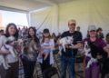 Municipio de El Marqués realizará 10 mil esterilizaciones gratuitas para perros y gatos