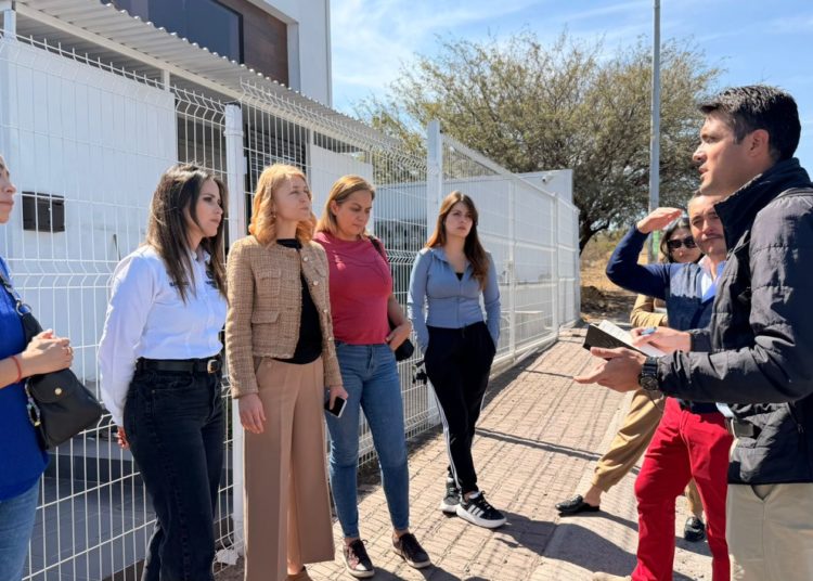 Municipio de Querétaro realiza acciones permanentes de bienestar animal