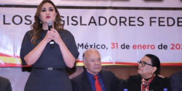 PT y PVEM no se levantaran de mesa de negociación sobre reforma electoral en Segob: Geovanna Bañuelos