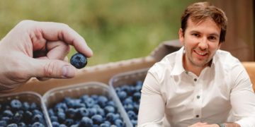 Tecnología agrícola desde San Luis Potosí posiciona berries en mercados internacionales