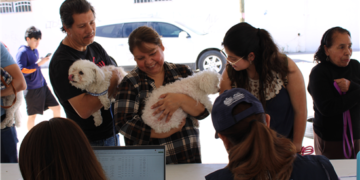Aprovechan servicios gratuitos del Municipio de Chihuahua para mascotas