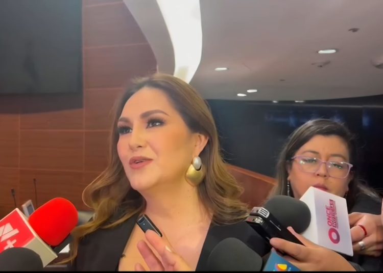 PT en Senado asumirá costo político de votar contra reforma electoral de Sheinbaum