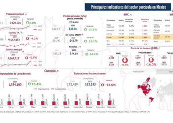 Producción de carne de cerdo en México crece 6% en 2025; la demanda interna sigue en aumento