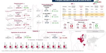 Producción de carne de cerdo en México crece 6% en 2025; la demanda interna sigue en aumento