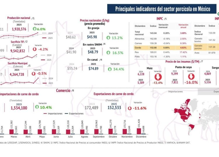 Producción de carne de cerdo en México crece 6% en 2025; la demanda interna sigue en aumento