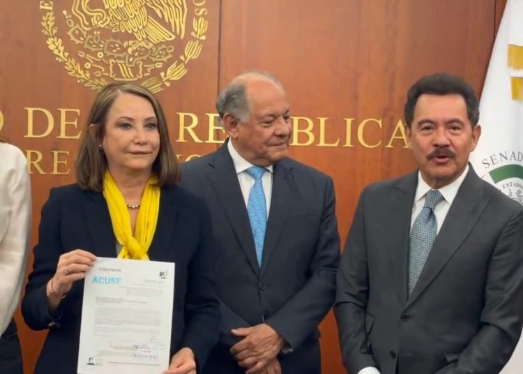 Llega al Senado Plan B de Sheinbaum; Laura Itzel Castillo confió en apoyo para su aprobación