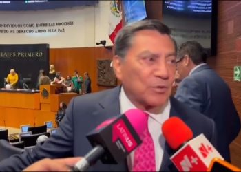 Plan B de Sheinbaum tendrá cambios; acotarán su participación en Revocación de Mandato: Cantón Zetina