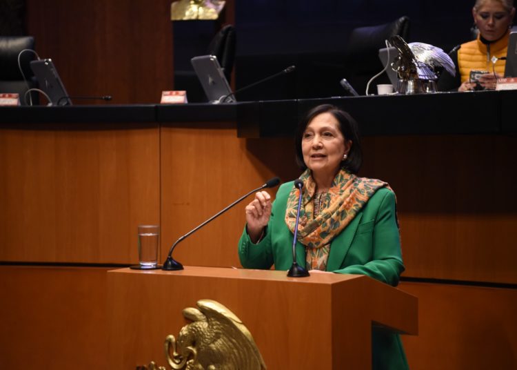 Amalia García propone reconocer el derecho al cuidado en la Constitución