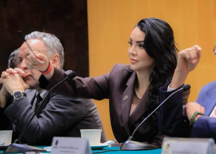 Congreso pide revisar fallo de jueza que liberó imputado por feminicidio
