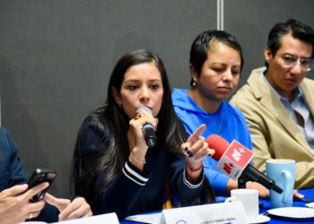 Denuncia Luisa Gutiérrez a consejeros del IECM con aspiración a ocupar vacantes del INE de haber convalidado la mayoría artificial de Morena