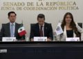 México mantendrá cooperación en desapariciones, afirma Roberto Velasco; rechaza extralimitación de ONU