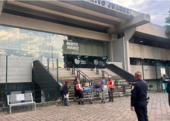 Atiende Alcaldía Benito Juárez a mujer golpeada junto a sus perros