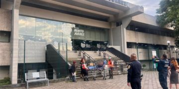 Atiende Alcaldía Benito Juárez a mujer golpeada junto a sus perros