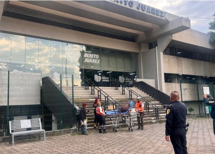 Atiende Alcaldía Benito Juárez a mujer golpeada junto a sus perros