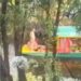 Captan desnudos a turistas extranjeros en trajinera de Xochimilco