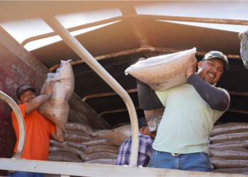 Municipio de Chihuahua comienza entrega de alimento para ganado en apoyo a la zona rural