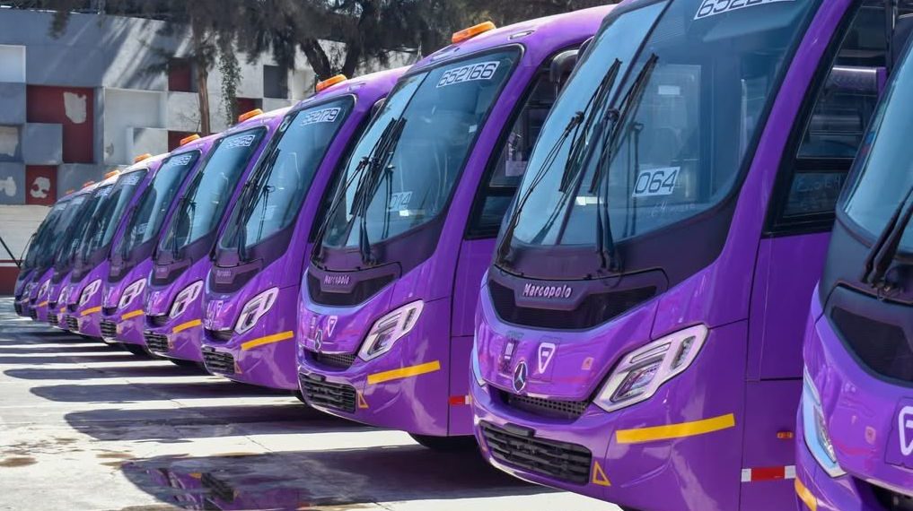 Socios de Congesa denuncian presunto fraude y pérdidas millonarias en corredor de transporte capitalino