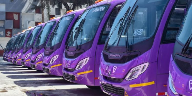 Socios de Congesa denuncian presunto fraude y pérdidas millonarias en corredor de transporte capitalino