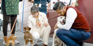 Gobierno de Nezahualcóyotl se suma a la estrategia CERA por el bienestar animal