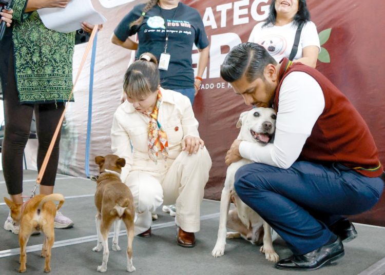 Gobierno de Nezahualcóyotl se suma a la estrategia CERA por el bienestar animal