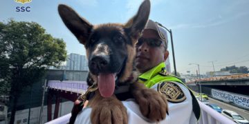 ERUM incorpora a “Indara” para fortalecer labores de búsqueda y rescate urbano