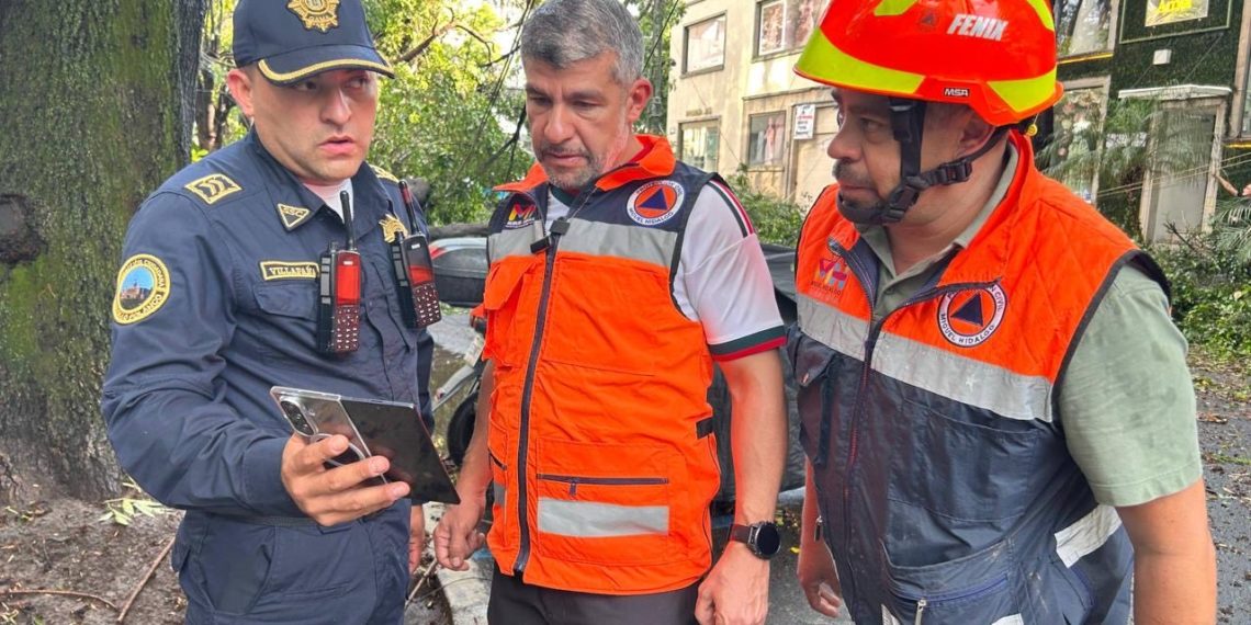 Reporta Mauricio Tabe más de 180 árboles caídos por fuertes lluvias en Miguel Hidalgo; activan Operativo Tormenta