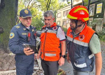 Reporta Mauricio Tabe más de 180 árboles caídos por fuertes lluvias en Miguel Hidalgo; activan Operativo Tormenta