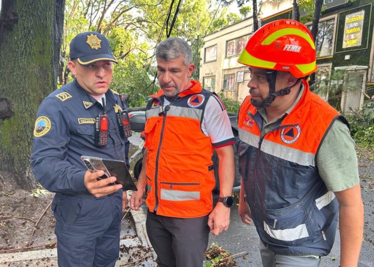 Reporta Mauricio Tabe más de 180 árboles caídos por fuertes lluvias en Miguel Hidalgo; activan Operativo Tormenta