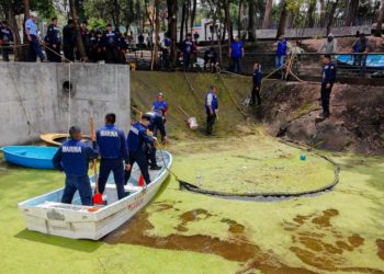 Coyoacán inicia rescate del lago de Huayamilpas con apoyo de Marina y autoridades ambientales