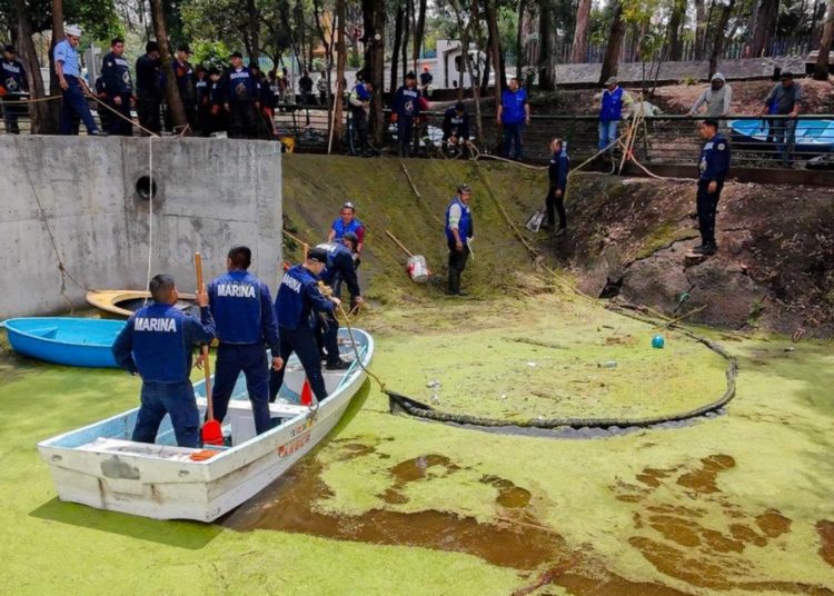 Coyoacán inicia rescate del lago de Huayamilpas con apoyo de Marina y autoridades ambientales